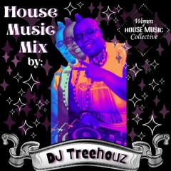 10. House Music Mix by DJ Treehouz (Women of House Music Collective)