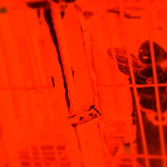 The Other Side of The Barbed Wire Fence
