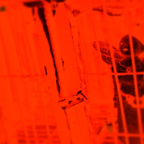 The Other Side of The Barbed Wire Fence