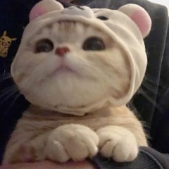 Wrk Ethic - BHOP  (better version)