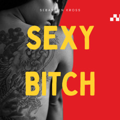 DAVID GUETTA - SEXY BITCH  Sebastien kross (Remix)