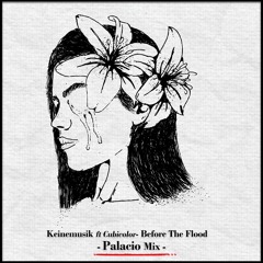Keinemusik ft Cubicolor- Before The Flood (Palacio Mix)