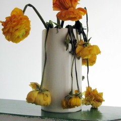 Dead Flowers