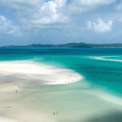 Parkervs/Wavey(yushiro)