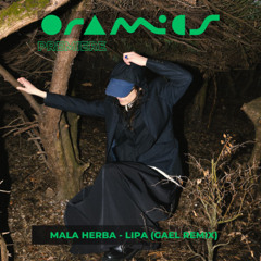 𝗣𝗥𝗘𝗠𝗜𝗘𝗥𝗘: Mala Herba - Lipa (GAEL Remix)