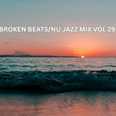 BROKEN BEATS - NU JAZZ MIX VOL 29