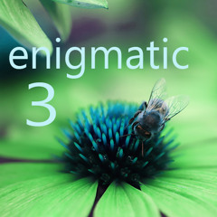 Enigmatic 3