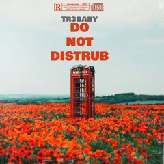 Tr3baby - Do Not Disturb
