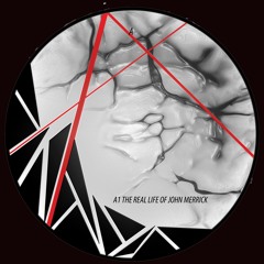 PREMIERE: Jay Tripwire - The Real Life Of John Merrick [VRNT Limited]