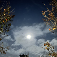 Wakeup! (prod. chasah)