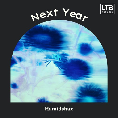 Hamidshax - Next Year (Original Mix)