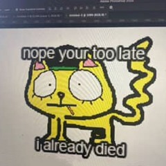nope your too late i already died (wifiskeleton cover)