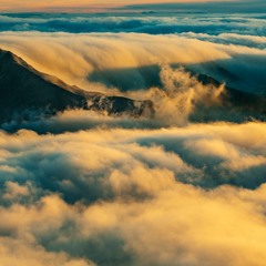 أَلَمْ تَرَ إِلَى الَّذِينَ بَدَّلُوا نِعْمَةَ اللَّهِ كُفْرًا || تلاوة تدبرية|| حسن أشرف سيف الدين