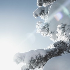 Panamaa B2B reV - Downtown Denver - 1.21.23