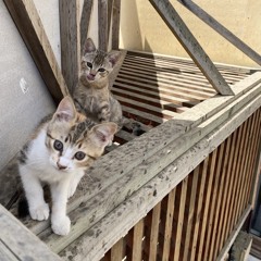 together