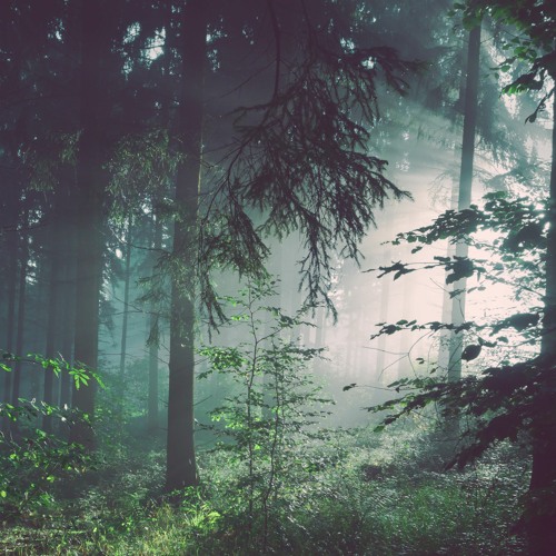 Unplug from the Fear and Get Calm