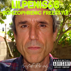 lilpenis68 - Schizophrenic Freestyle (Prod: lilpenis68)