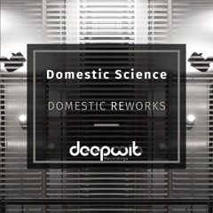 Domestic Science - Domestic Reworks