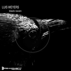 Black Raven _ Luis Weyers _ Drehmoment _ Records
