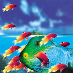 Why, Why, Why (Olympic Terrorist Mix)