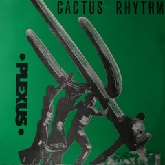 Plexus - Cactus Rhythm (Retro Belgica Bootleg)