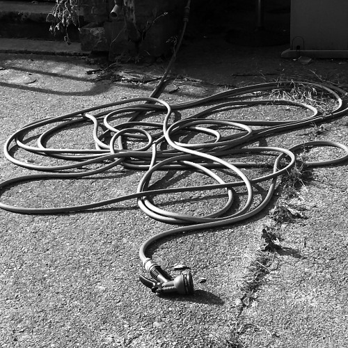 Schattenlichter (2)