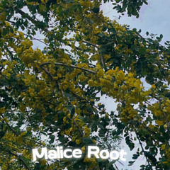 yellow flowers on the sky