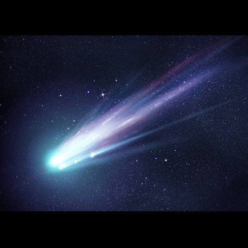 Wonder 3