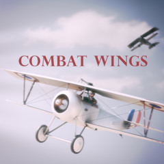 Combat Wings