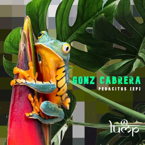 PREMIERE: Gonz Cabrera - Pedacitos (Max TenRom Remix) [Lump Records]