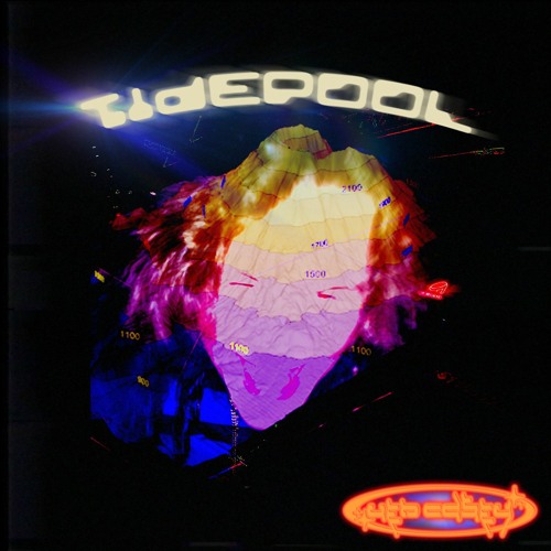 Tidepool