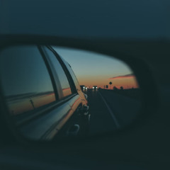 2月の水槽 / yonige (copy)