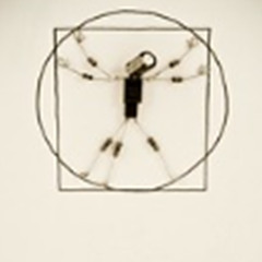 VITRUVIAN VARIATION 6