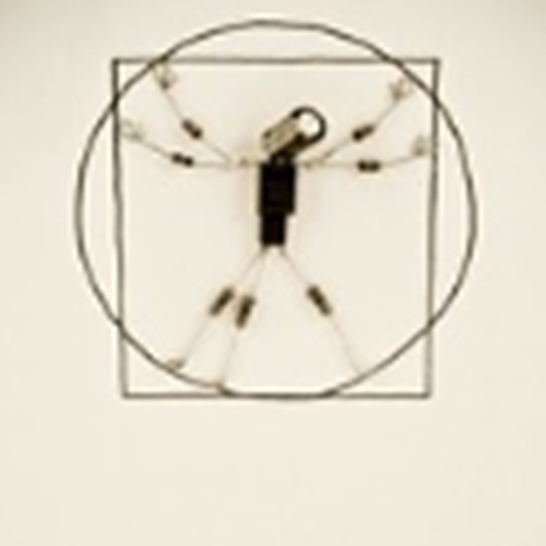 VITRUVIAN VARIATION 6