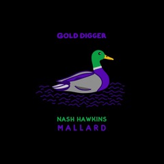 Nash Hawkins - Mallard [Gold Digger]