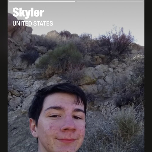 Skylerx filterecho1snippet.m4a