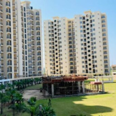 City Life, Country Calm: Ideal Flats Near Chandigarh