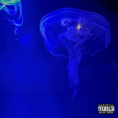 DYLTS Freestyle