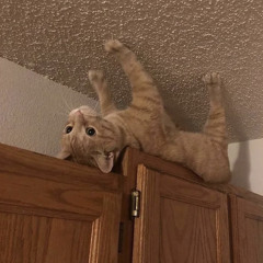 adderall (heartbrkn+malloy)