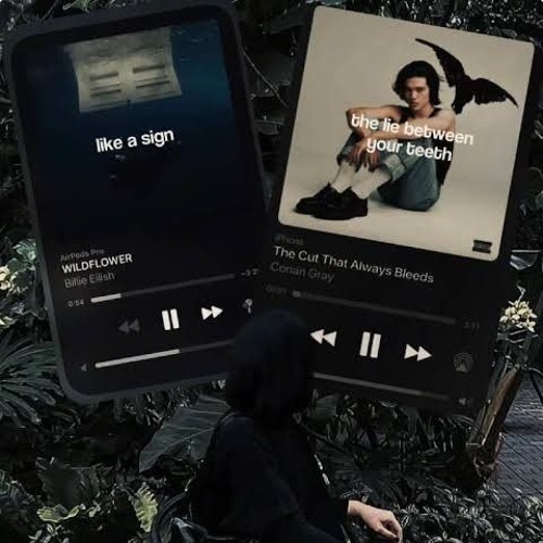 The Cut That Always Bleeds x WILDFLOWER tiktok mashup ｜ Billie Eilish, Conan Gray