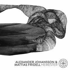 Mattias Fridell Alexander Johansson & Mattias Fridell - Hemster (MOTTO07)