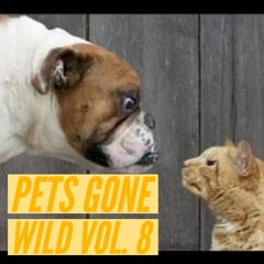 Pets Gone Wild Vol.8