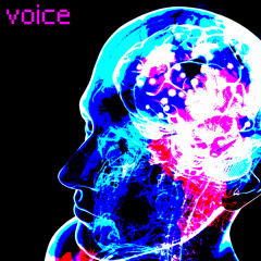 voice