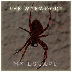 My Escape (Original Mix)