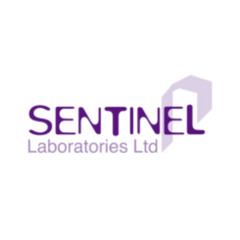 Gloves That Work Ensuring Safety and Efficiency in Every Industry