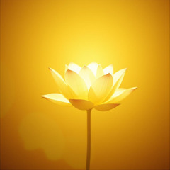 Sang Buddha Gautama