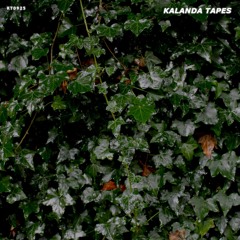 KALANDA TAPES 21 ( SEP 25 NEW RELEASES / deep / tech / minimal )