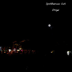 Spot (Bedroom Cut)