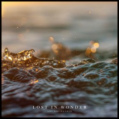 Lost in Wonder