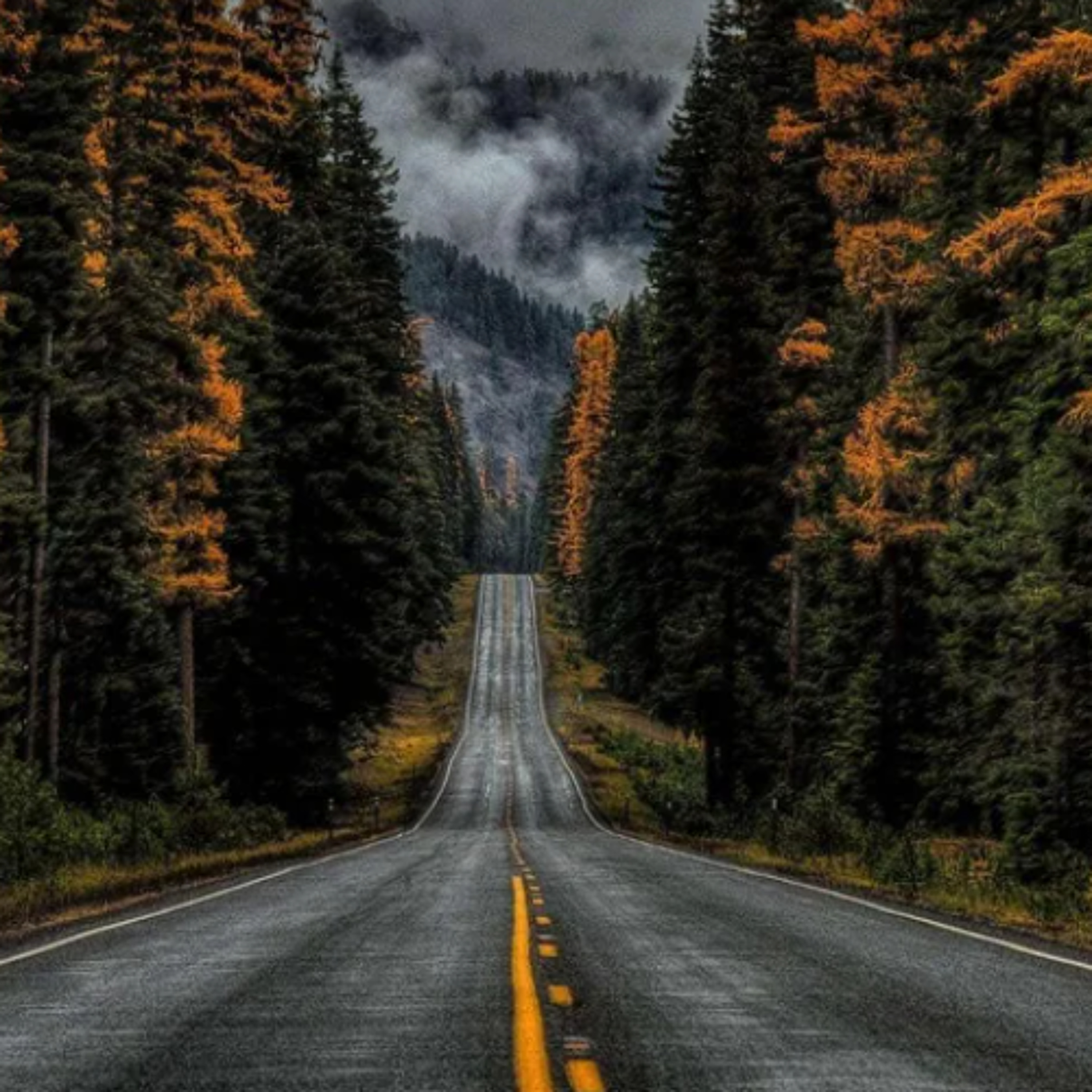 awanderingsky / skyrockstudio